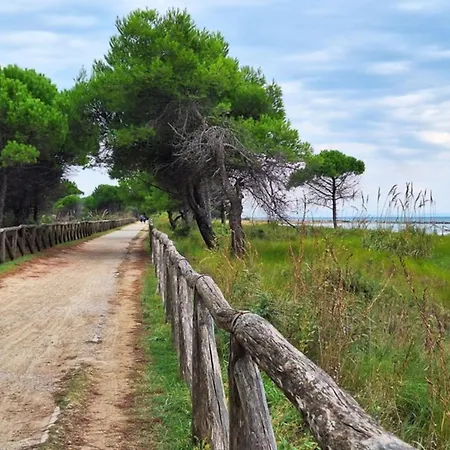 Relaxing With Garden Bibione
